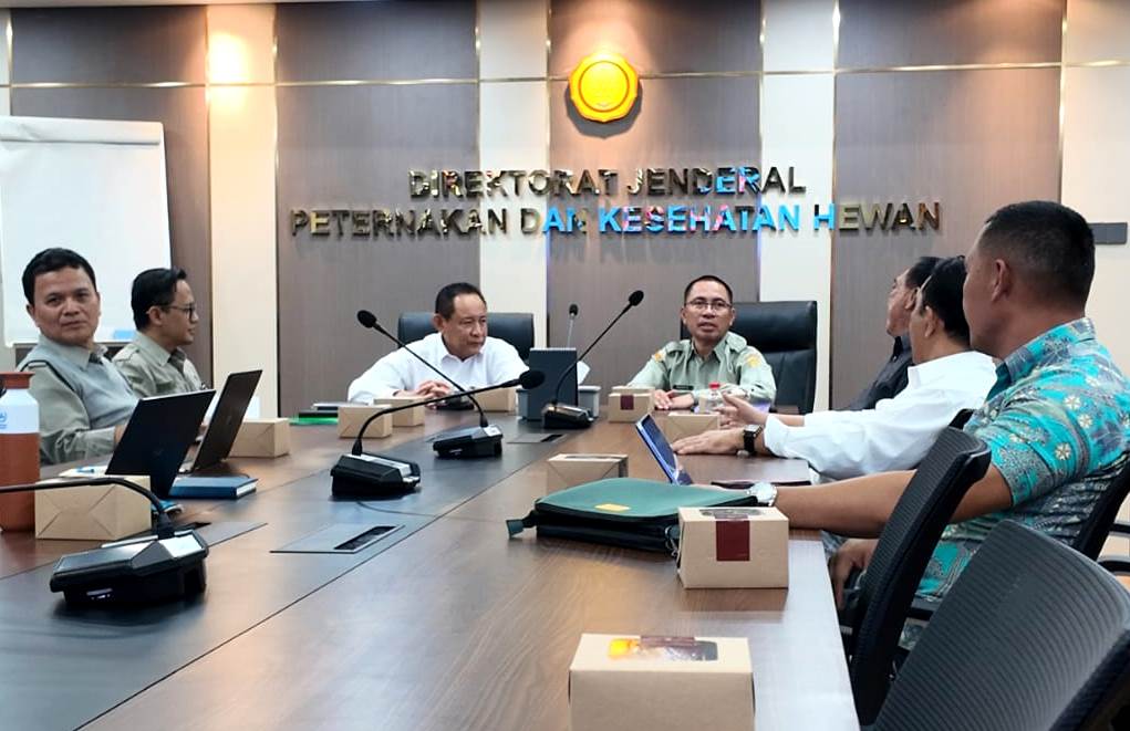 WhatsApp-Image-2026-01-27-at-01.16.15