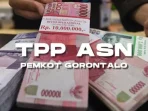 wali-kota-minta-asn-usai-terima-tpp-jangan-lupa-bayar-pinjaman-di-bsg